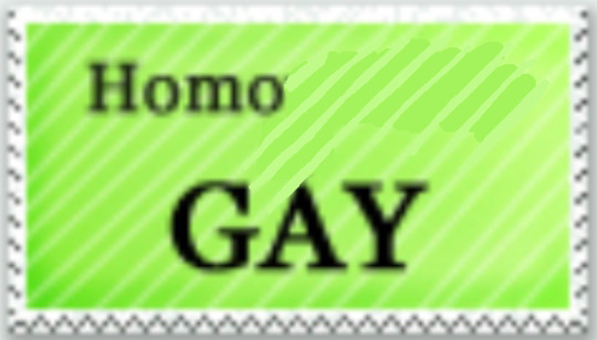 homo gay